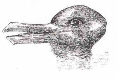L'illusion du canard-lapin de J. Jastrow