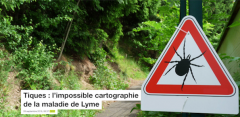 The Conversation - Article : Tiques, l'Impossible cartographie de la maladie de Lyme - photo  Dieter Schütz/pixelio.de