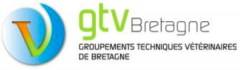 Logo_GTV_Bretagne.png